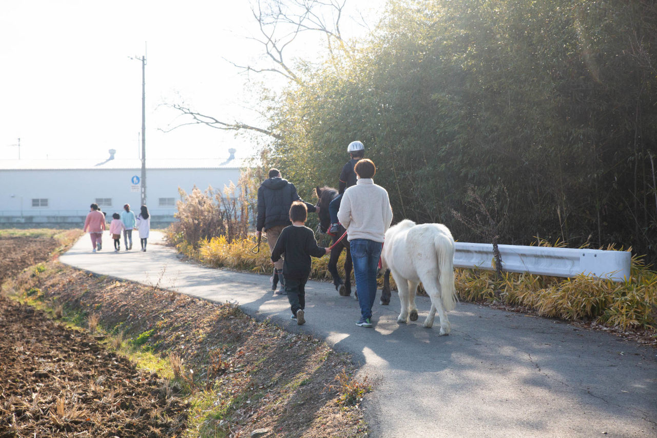 Walk with horses